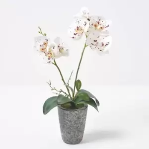 Image of Homescapes - White Orchid 46cm Phalaenopsis in Cement Pot - White