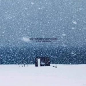Image of II The Big Blow by The Tronosonic Experience Vinyl Album