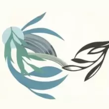 Image of The Natural Lines