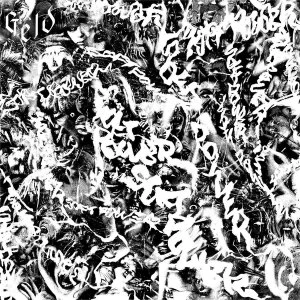 Image of Geld - Soft Power Vinyl