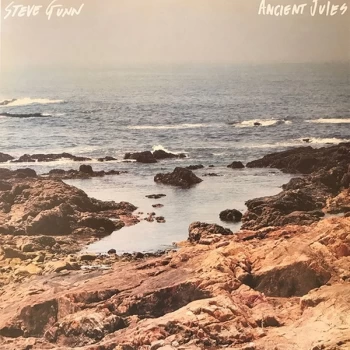 Image of Steve Gunn - Ancient Jules Vinyl