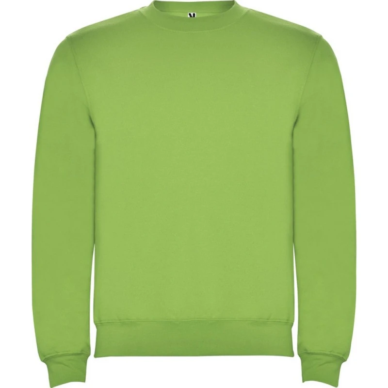 Image of Roly Clasica boys's Children's sweatshirt in Multicolour