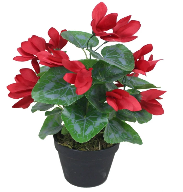 Image of Leaf 38cm Artificial Cylamen Plant Red Red