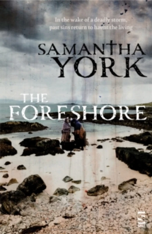 Image of The Foreshore Paperback / softback