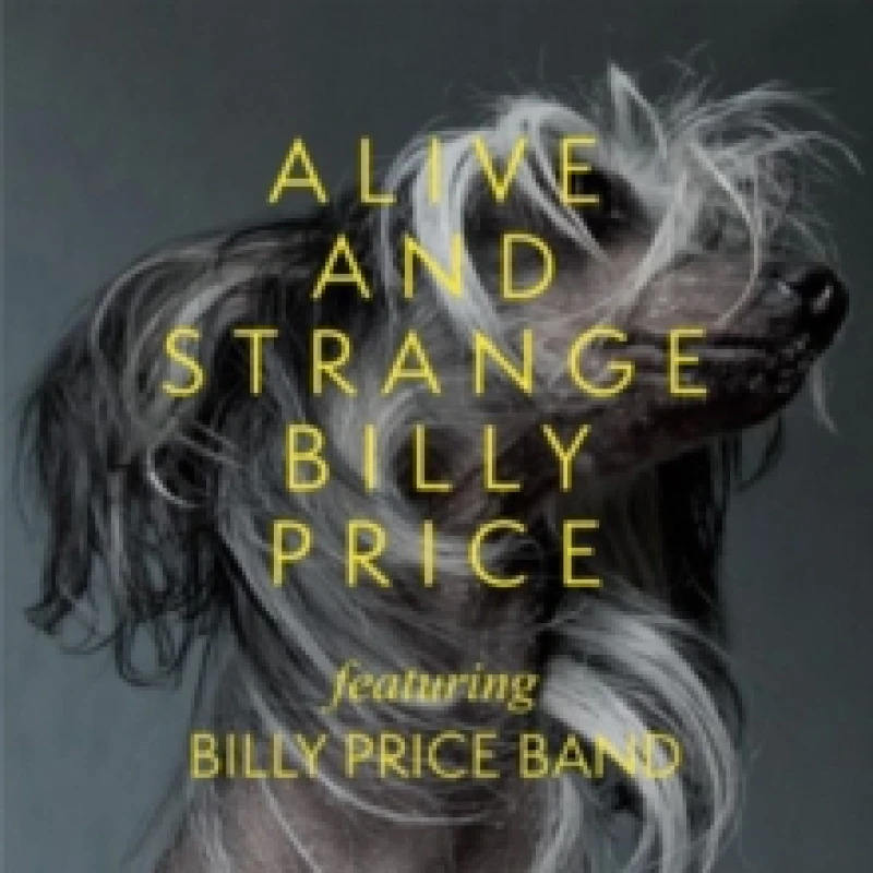 Image of Billy Price - Alive and Strange [CD / Album] Music CDs - Music CD