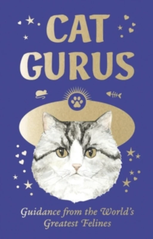 Image of Cat Gurus (Mini Deck) : Guidance from the World's Greatest Felines Cards