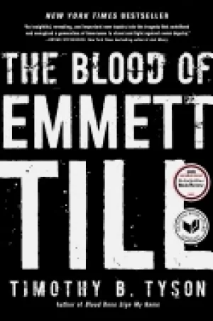 Image of blood of emmett till