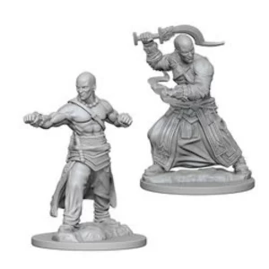 Image of Pathfinder Deep Cuts Unpainted Miniatures (W1) - Human Male Monk