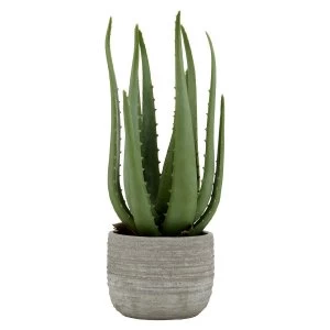 Image of Premier Housewares Large Faux Aloe Vera in Cement Pot
