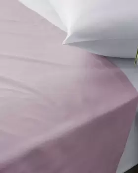 Image of Cotton Traders 200 Thread Count Percale Flat Sheet in Pink