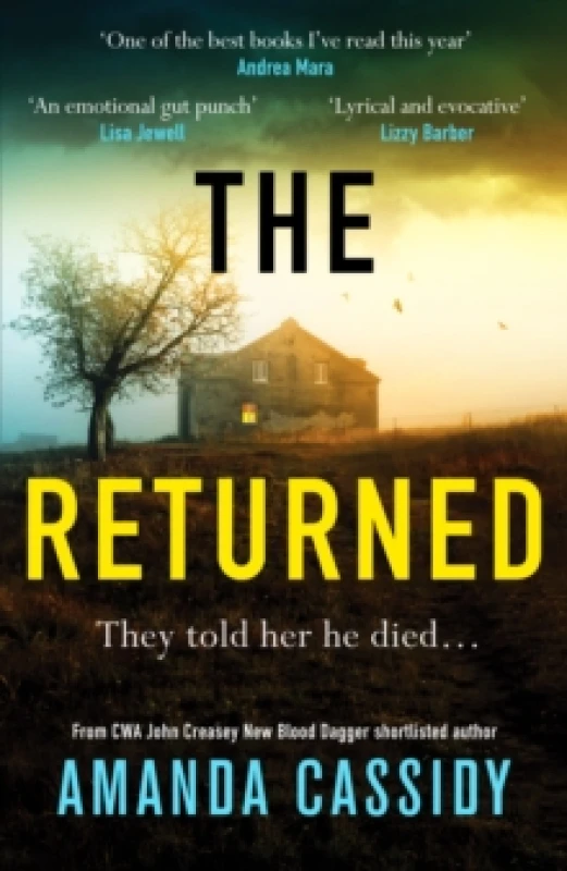 Image of The Returned : A gripping Irish crime thriller Hardback