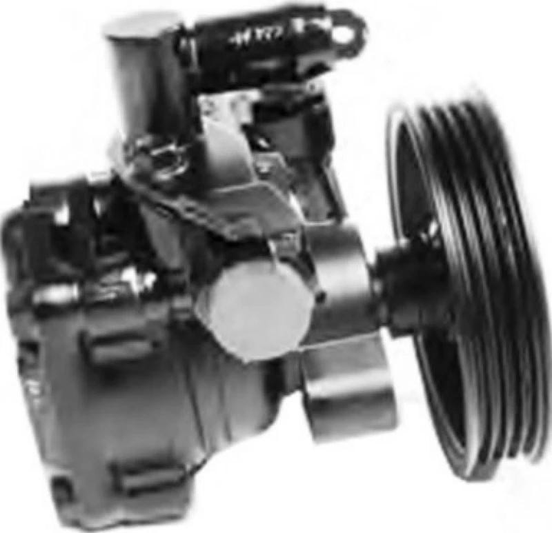 Image of STARQ SQ924-09114 Power Steering Pump Belt Pulley Ø: 96mm, Number of ribs: 4 Hydraulic Pump,steering system (12)