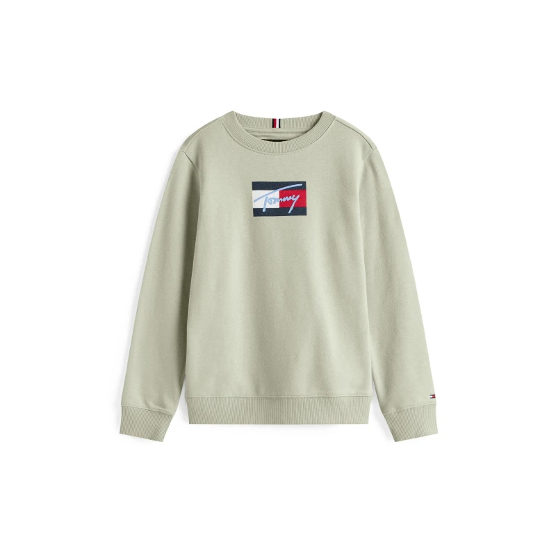 Image of Tommy Hilfiger Kids Soft Fabric Crew Sweatshirt Misty Sage M1C male 8Y