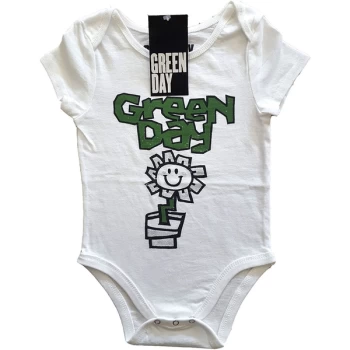 Image of Green Day - Flower Pot Kids 3-6 Months Babywear - White