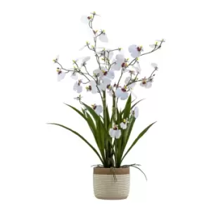 Image of Gallery Interiors Begbie Potted Oncidium Orchid White / Large