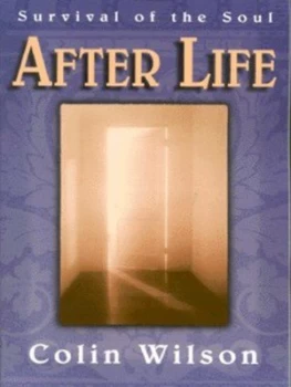 Image of After Life by Colin Wilson Book