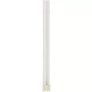 Image of Philips Master 36W PL-L 4 Pin Daylight - 63520440