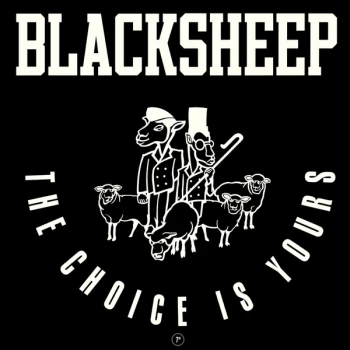 Image of Black Sheep - The Choice Is Yours Vinyl