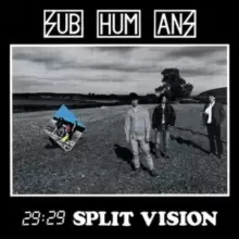 Image of 29:29 Split Vision