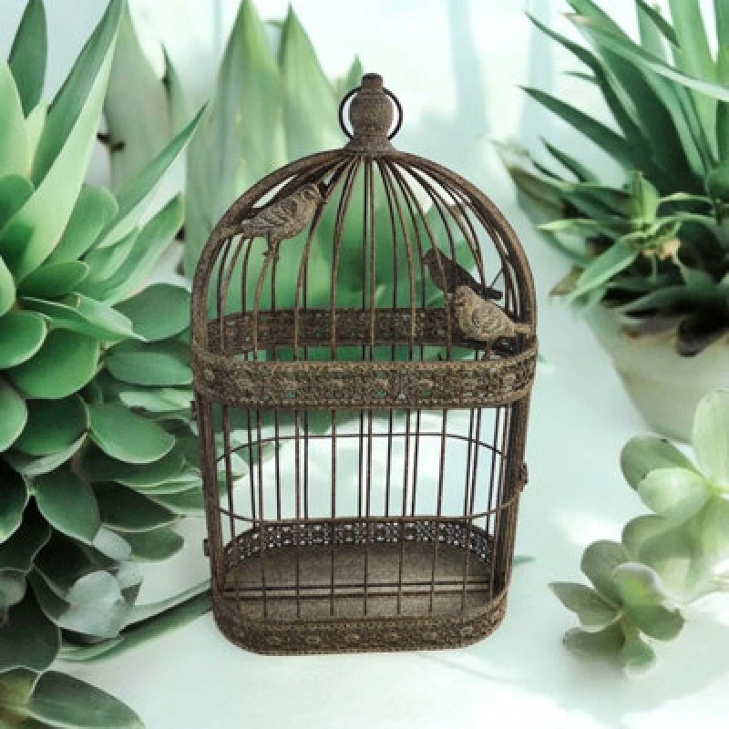 Image of 60Cm Bird Cage Rustic Wall Mirror