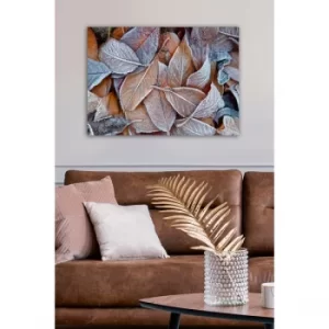 Image of 1247146480-5070 Multicolor Decorative Canvas Painting