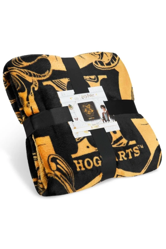 Image of Harry Potter Throw Blanket Multi