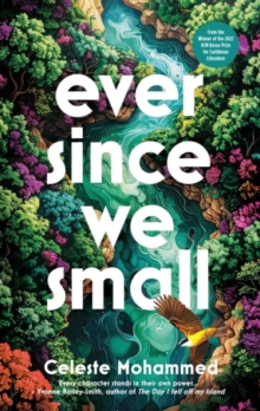 Image of Ever Since We Small Hardback