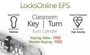 Image of Locksonline EPS Key and Turn Classroom Euro Cylinders