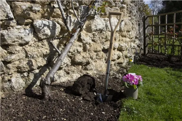Image of Wilkinson Sword Planting Spade