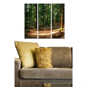 Image of MDF972792 Multicolor Decorative MDF Painting (3 Pieces)