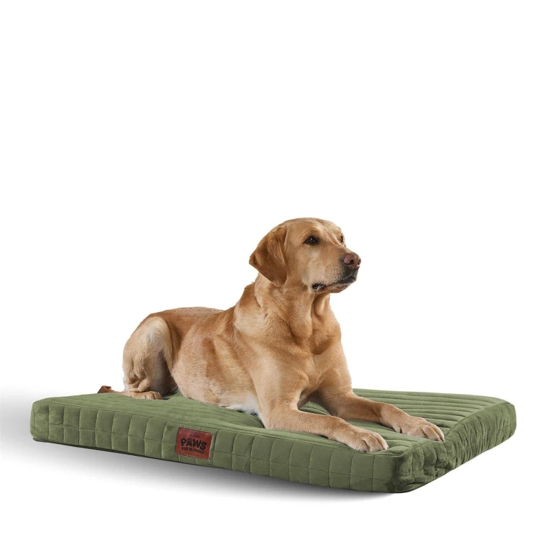 Image of Slumberdown Paws for Slumber Small Orthopedic Pet Bed Green