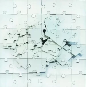 Image of Destroy to Rebuild by Not Scientists CD Album