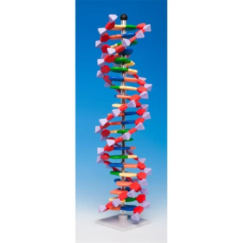 Image of Molymod DNA-060-22 - MiniDNA Advanced 22 Layer Molecular Model Kit...