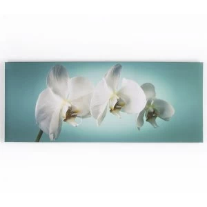 Image of Graham and Brown Teal Orchid Wall Art