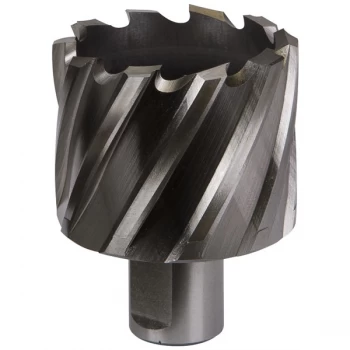 Image of Worksafe RBHSS48S Rotabor Cutter HSS Ø48mm - Cut Depth 25mm