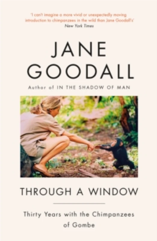 Image of Through A Window Paperback / softback