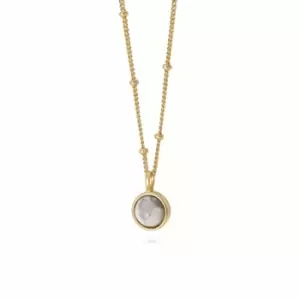 Image of Daisy London Jewellery 18ct Gold Plated Sterling Silver Howlite Healing Stone Necklace 18Ct Gold Plate