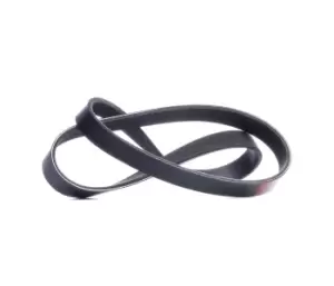 Image of RIDEX V-ribbed belt VW,AUDI,FIAT 305P0053 46540546,55192075,60653027 Serpentine belt,Auxiliary belt,Poly V-belt,Ribbed belt,Multi V-belt,Poly belt