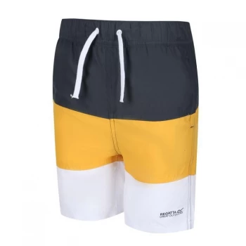 Image of Regatta Shaul III Swimming Shorts - SealGry/Glow