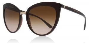 Image of Dolce & Gabbana DG6113 Sunglasses Transparent Brown 315913 55mm