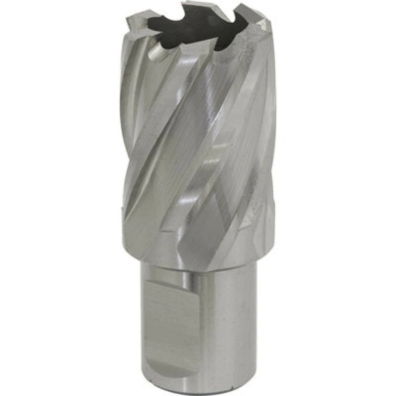 Image of Loops 28mm x 25mm Depth Rotabor Cutter - M2 Steel Annular Metal Core Drill 19mm Shank Metallics