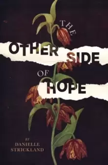 Image of The Other Side of Hope : Flipping the Script on Cynicism and Despair and Rediscovering our Humanity