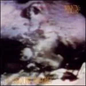 Image of land of rape and honey