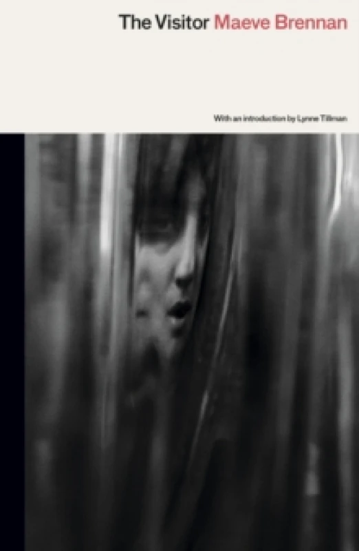 Image of The Visitor Paperback / softback