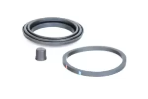 Image of AUTOFREN SEINSA Brake Caliper Repair Kit D4003 Caliper Repair Kit,Brake Caliper Rebuild Kit FORD,RENAULT,FIAT,Fiesta Mk4 Schragheck (JAS, JBS)