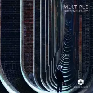 Image of Nic Pendlebury Multiple by Steve Reich CD Album