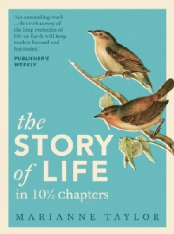 Image of The Story of Life in 10 Chapters Hardback