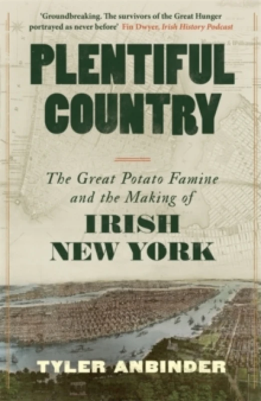 Image of Plentiful Country : The Great Potato Famine and the Making of Irish New York Paperback / softback