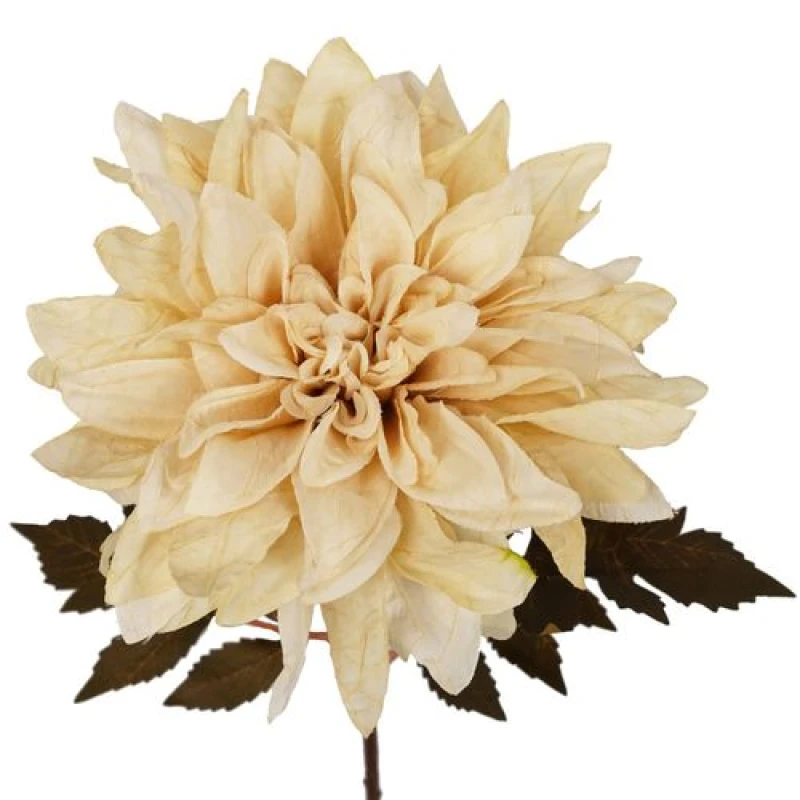 Image of Leaf 55cm Dahlia Flower Stem - Dusty Cream