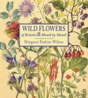 Image of Wild flowers of Britain by Margaret Erskine Wilson